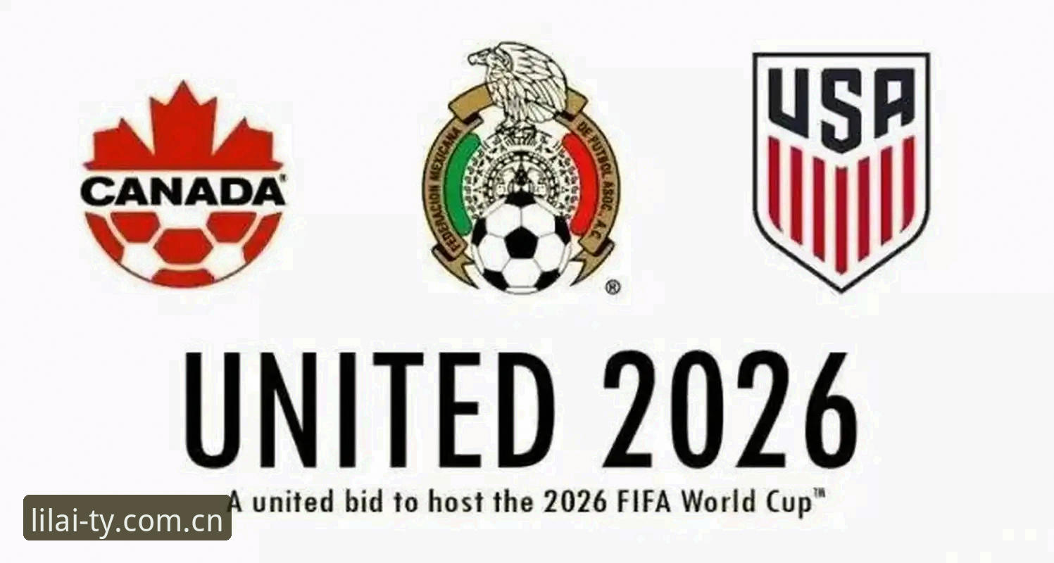 2026世界杯观赛签证受阻操作指南:在利来体育平台看球的前期准备